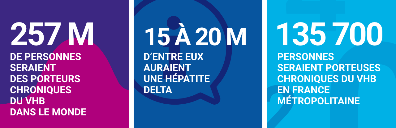 Infographie concernant l’hépatite B et D