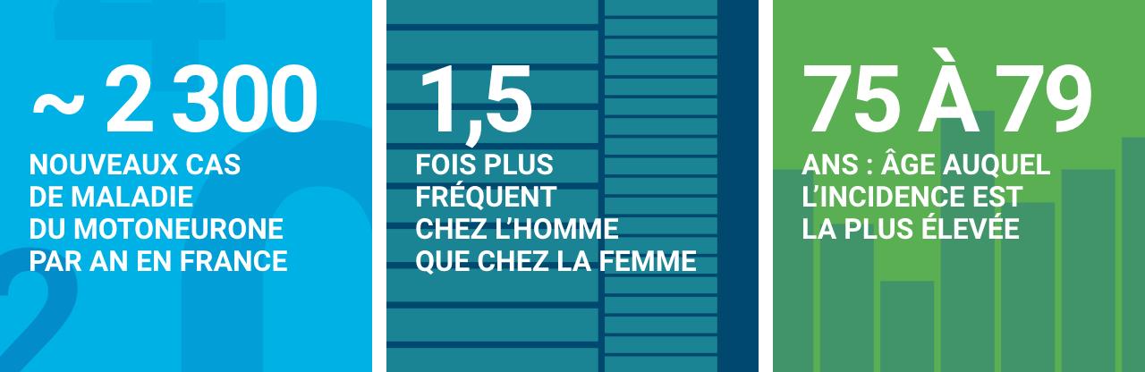 infographie concernant les maladies du motoneurone