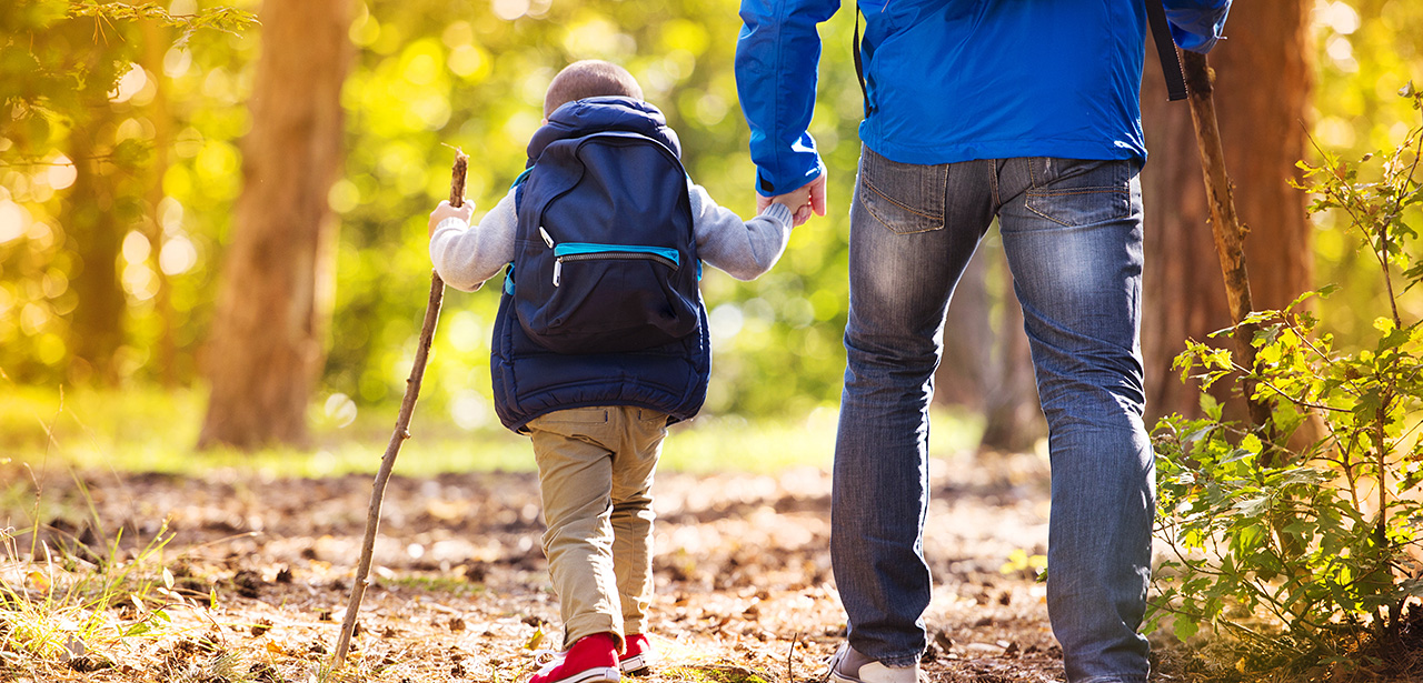 Visuel d'un père avec son enfant marchant dans la forêt