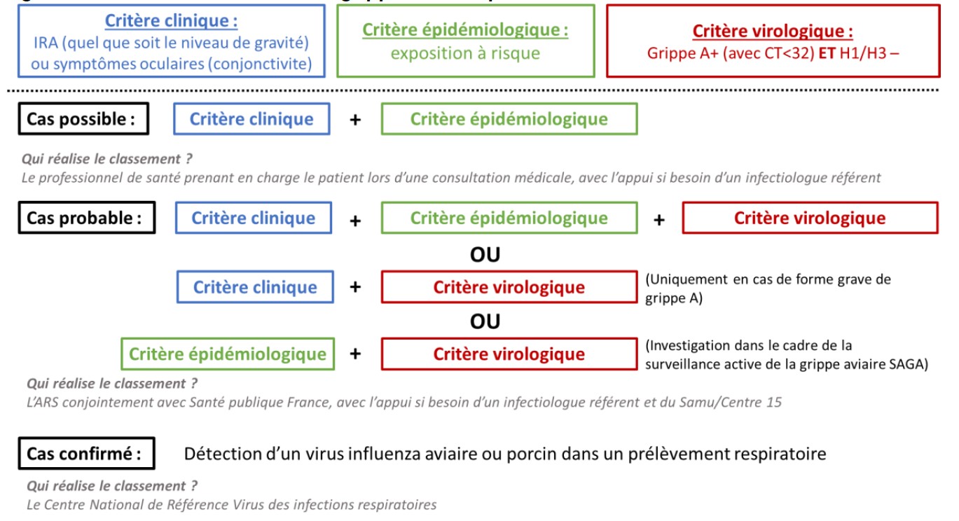 Schéma de la surveillance passive des grippes zoonotiques : identification et suivi de cas probables et confirmés de grippe aviaire
