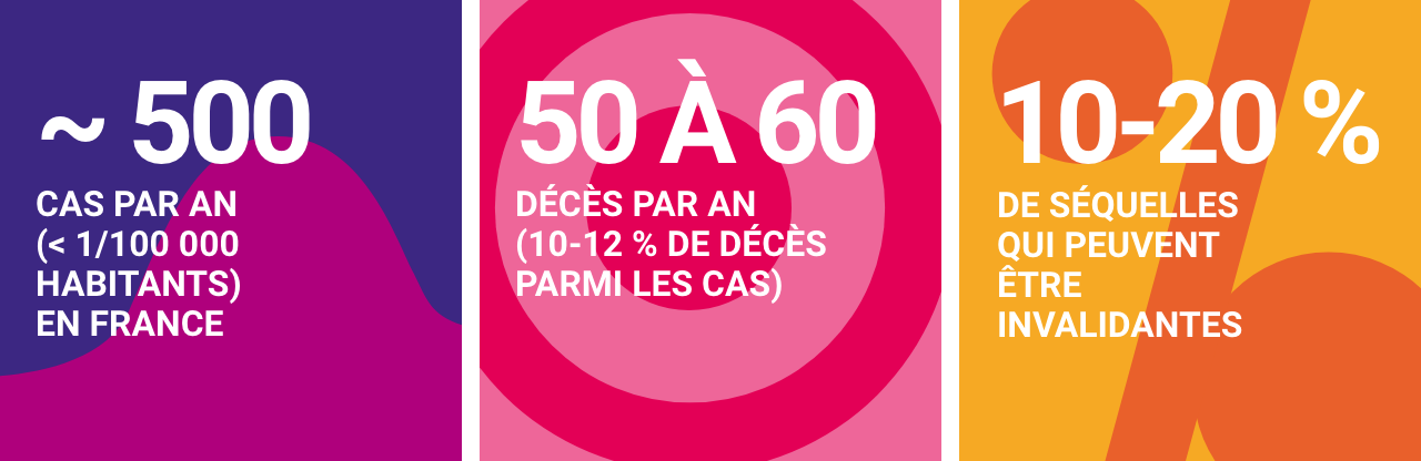 Infographie concernant les Infections invasives à méningocoque