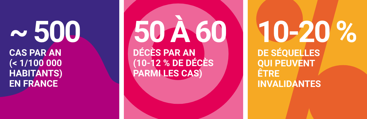 Infographie concernant les Infections invasives à méningocoque