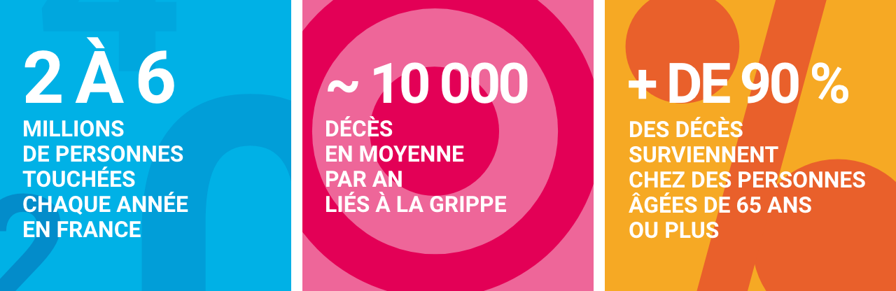 Infographie concernant la grippe