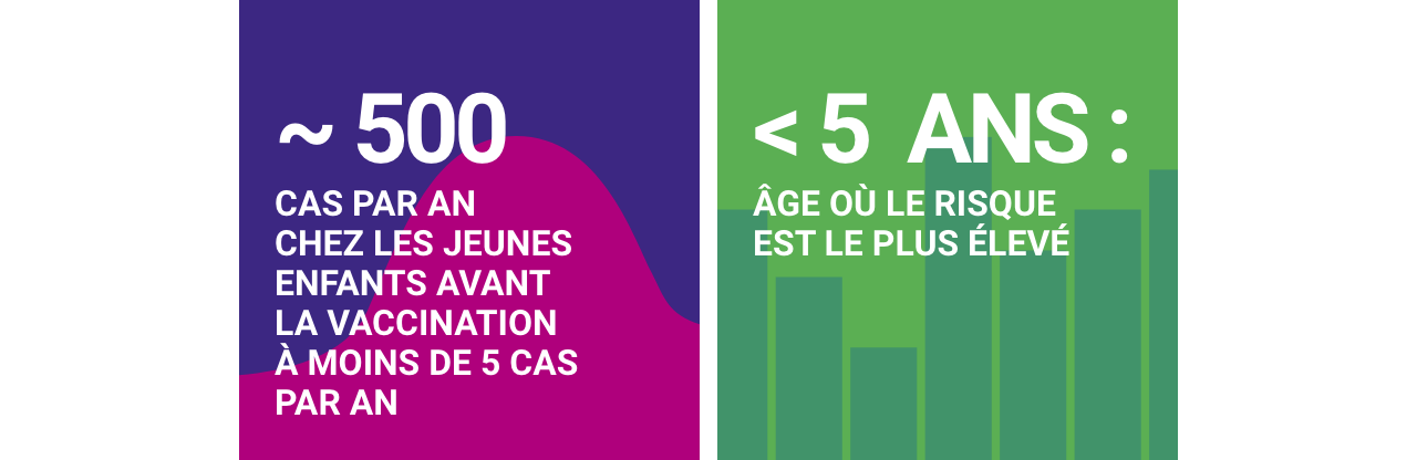 Méningites à haemophilus influenzae b - Infographie chiffres clés