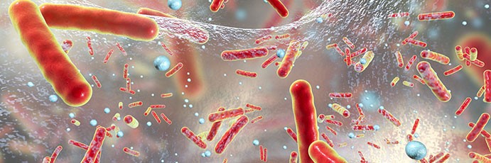 Décès attribuables et années de vie ajustées sur l’incapacité, dus à des infections par des bactéries résistantes aux antibiotiques dans l'UE et l'Espace économique européen en 2015 : une analyse de modélisation au niveau populationnel.