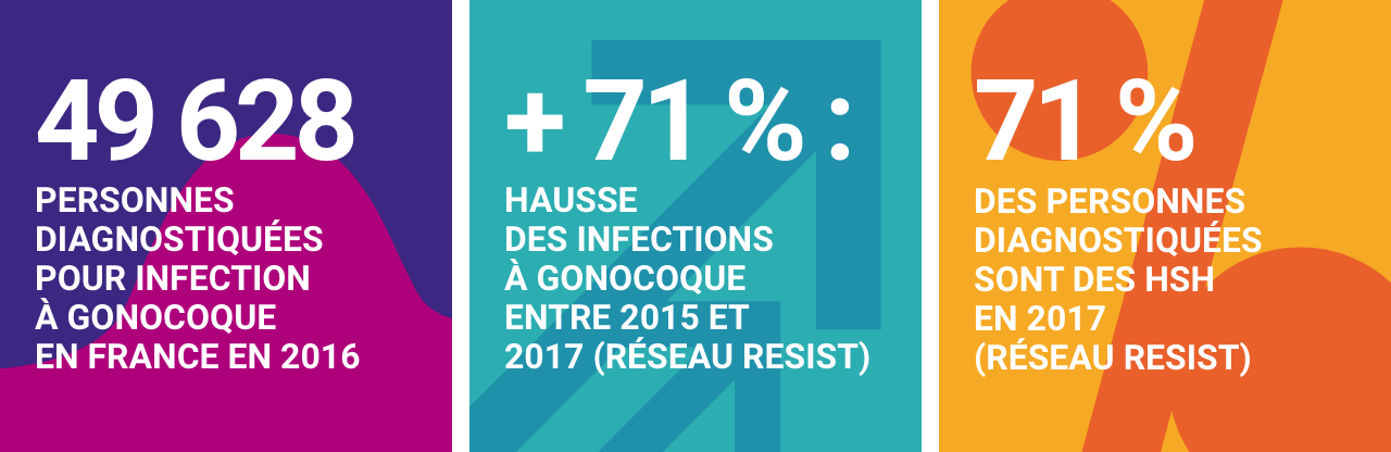 Gonococcie - Infographie chiffres clés