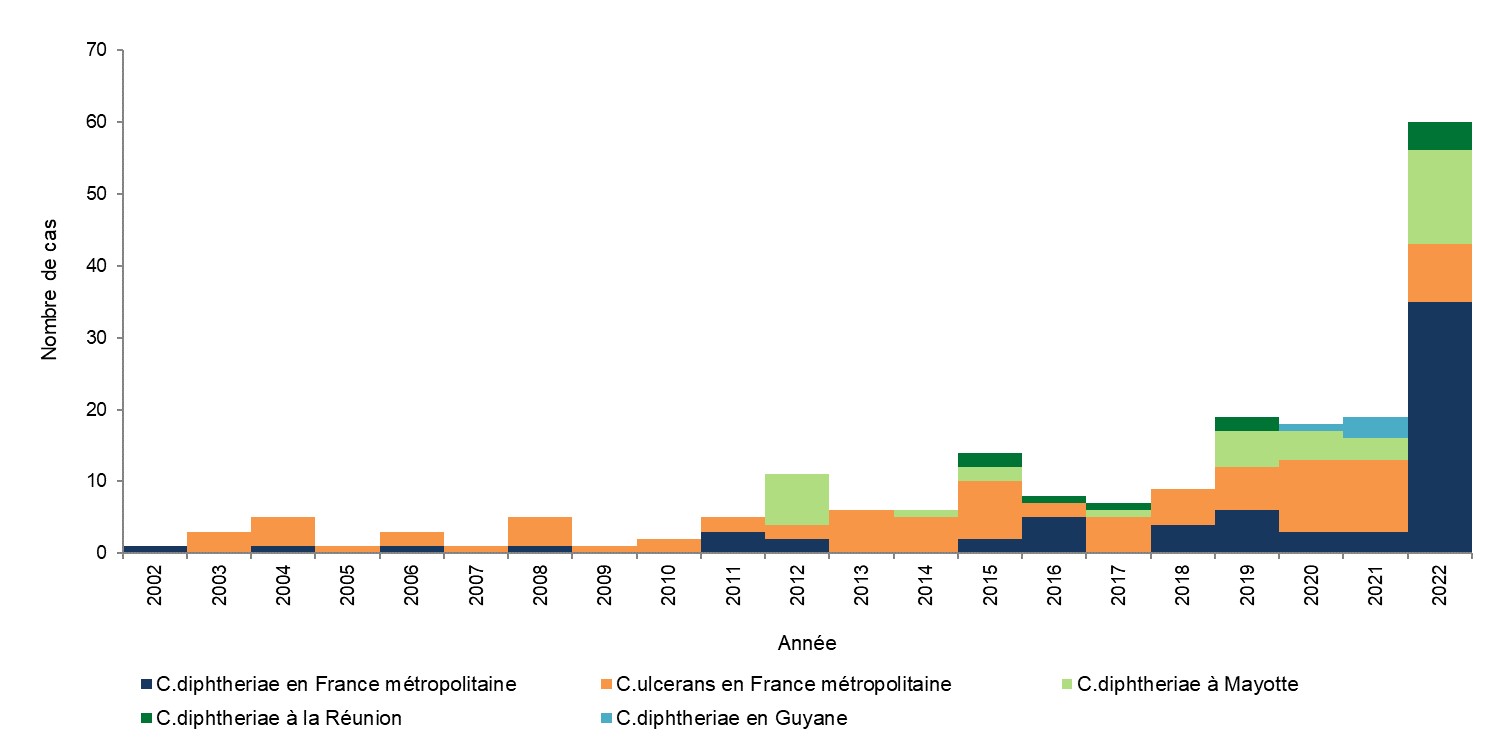 Figure 1 - Nombre de cas de diphtérie déclarés, par an, France, 2002-2022 – Données au 31 décembre 2022