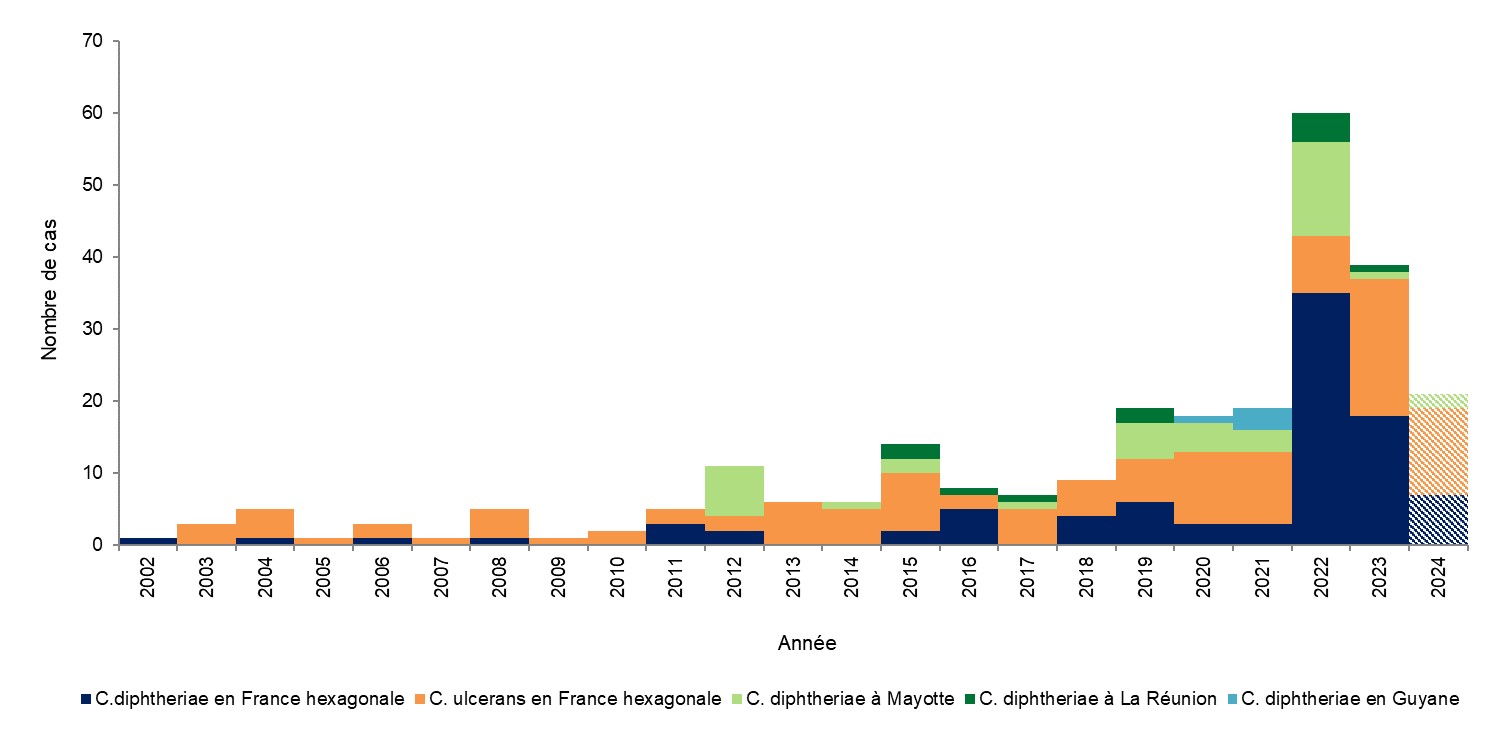 Figure 1 - Nombre de cas de diphtérie déclarés, par an, France, 2002-2024 – Données au 19 juin 2024
