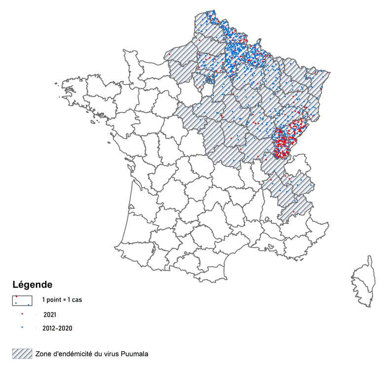 Distribution spatiale des cas d’infection à hantavirus rapportés par le CNR (Institut Pasteur) en France métropolitaine par département, Données CNR 2012 - 2021