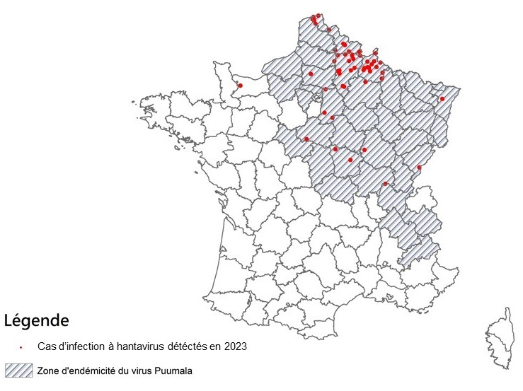Distribution spatiale des cas d’infection à hantavirus rapportés par le CNR (Institut Pasteur) en 2023 en France hexagonale par département, Données CNR