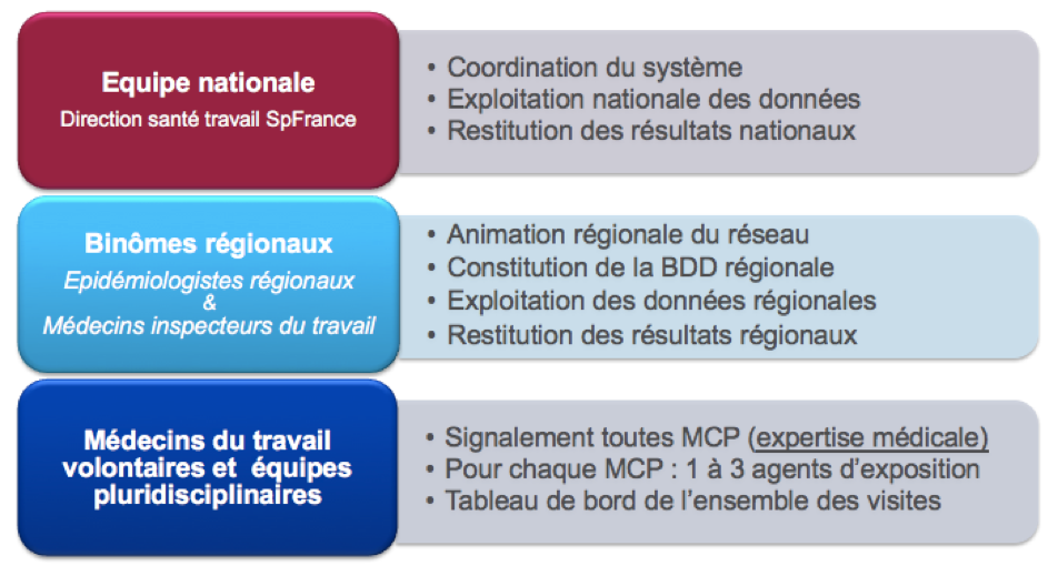 schéma d’organisation des Quinzaines MCP
