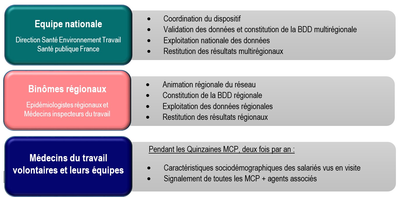 schéma d’organisation des Quinzaines MCP