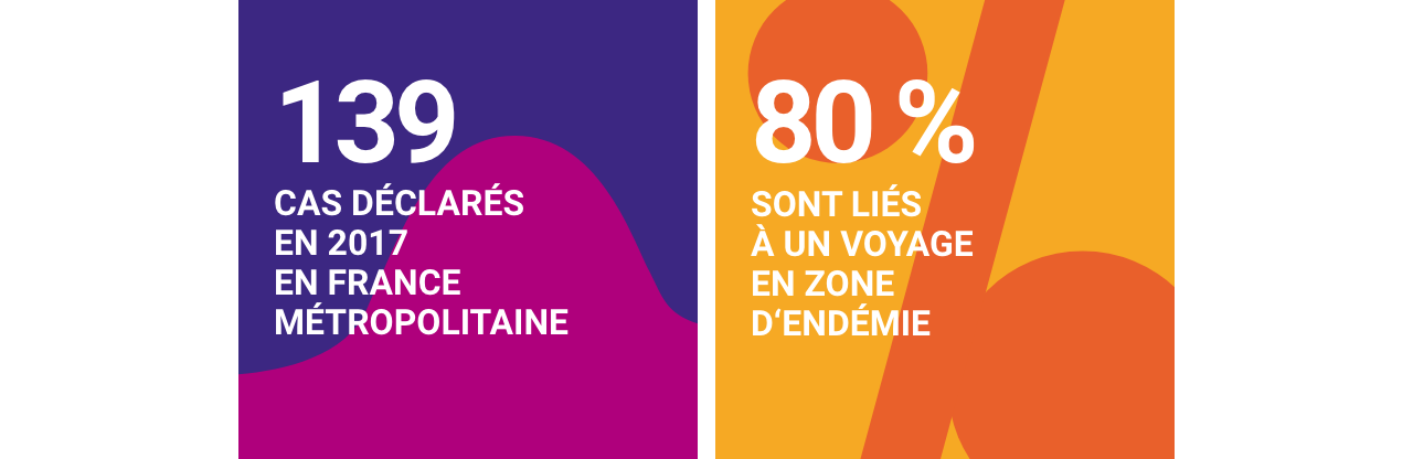 Infographie concernant les fièvres typhoïdes et paratyphoïdes