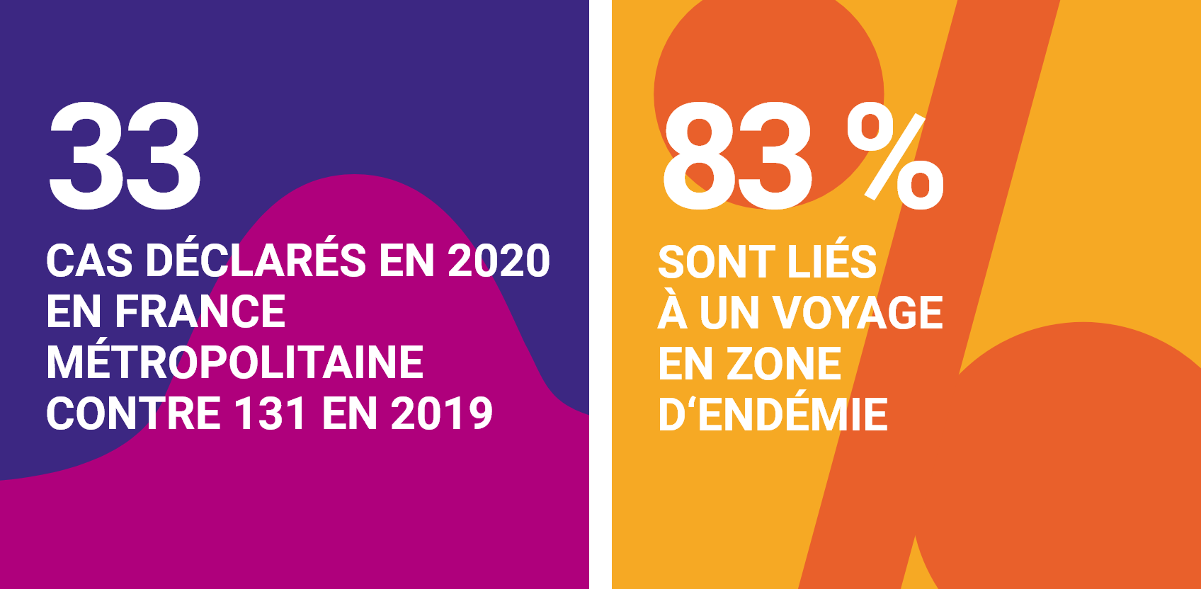 Infographie concernant la fièvre typhoïdes et des fièvres paratyphoïdes