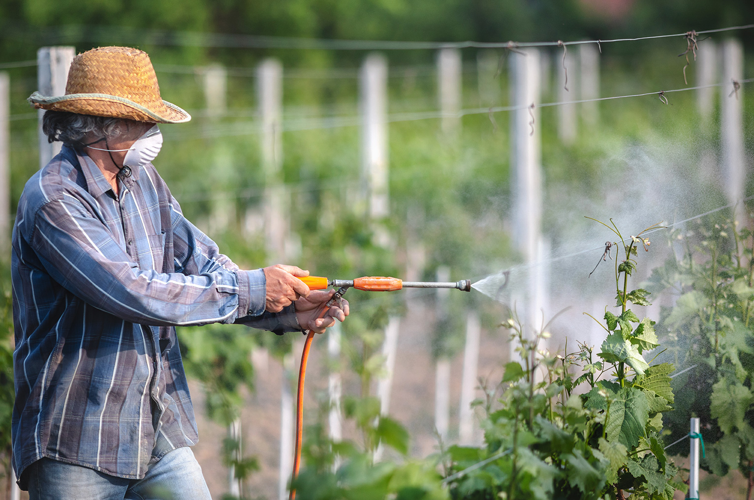 PestiRiv : lancement de la 2e période d’enquête pour mieux connaître l’exposition aux pesticides des personnes vivant en zones viticoles et non-viticoles