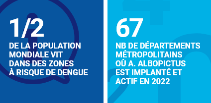 Infographie concernant la dengue