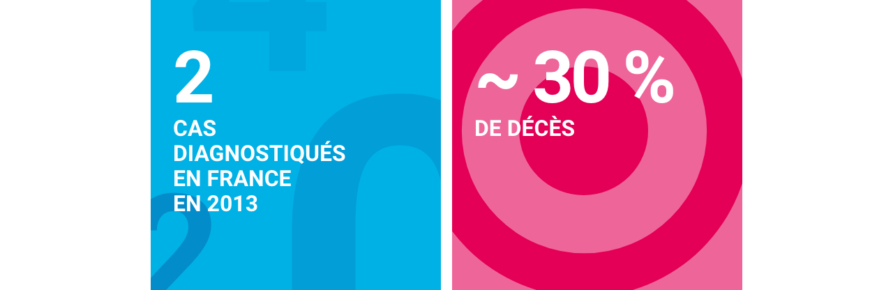 2 cas diagnostiqués en France en 2013 / Environ 30% de décès