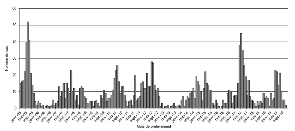 Figure 1. Distribution mensuelle de cas d'infection à hantavirus rapportés par le CNR de 2005 à 2019 en France métropolitaine, données CNR des Hantavirus (Institut Pasteur)