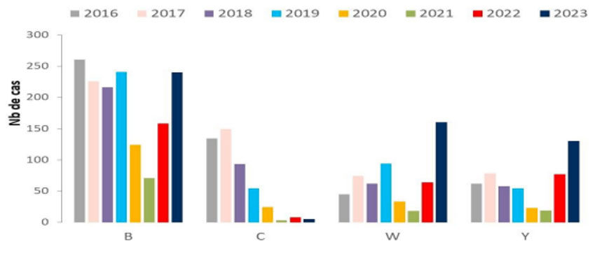 Nombre de cas d'infections invasives à méningocoque selon les principaux sérogroupes, France entière, 2016-2023