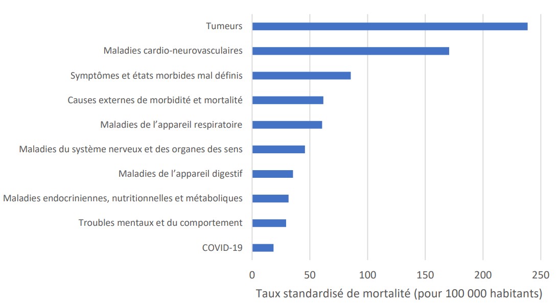 Grandes causes de décès en 2023 en France