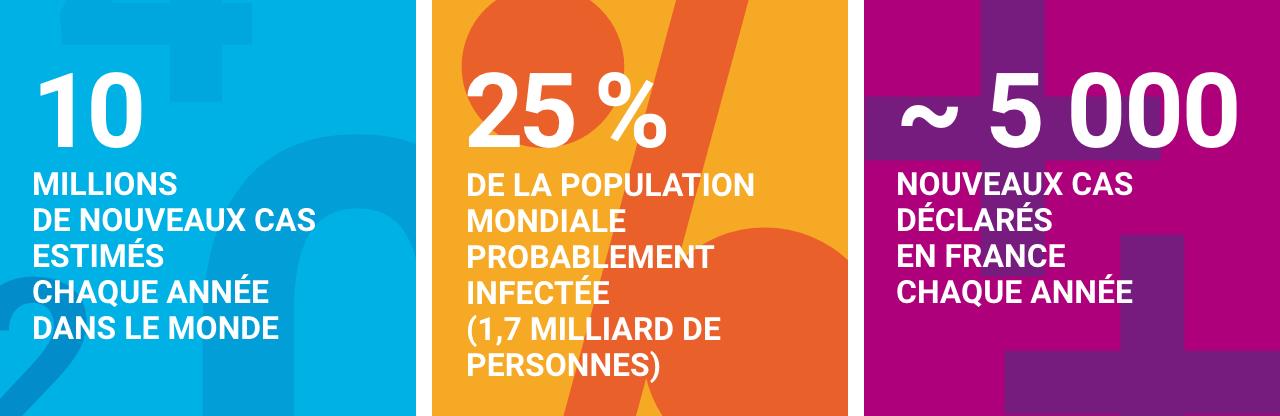 infographie concernant la tuberculose