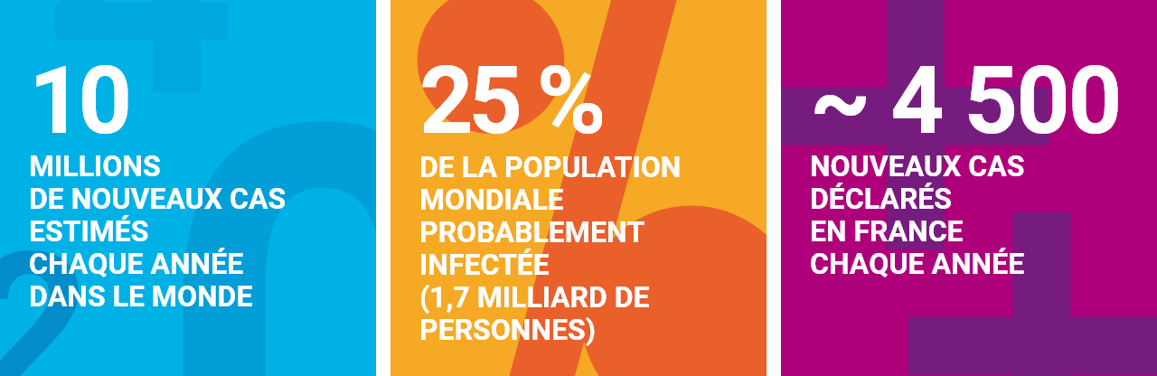 infographie concernant la tuberculose