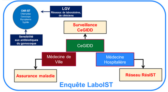 Système de surveillance des IST bactériennes