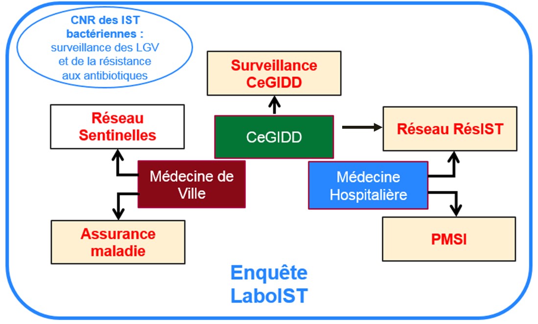 Système de surveillance des IST bactériennes
