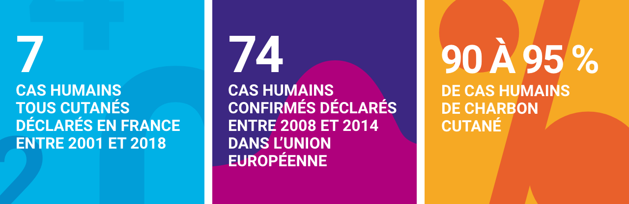 Infographie concernant le charbon