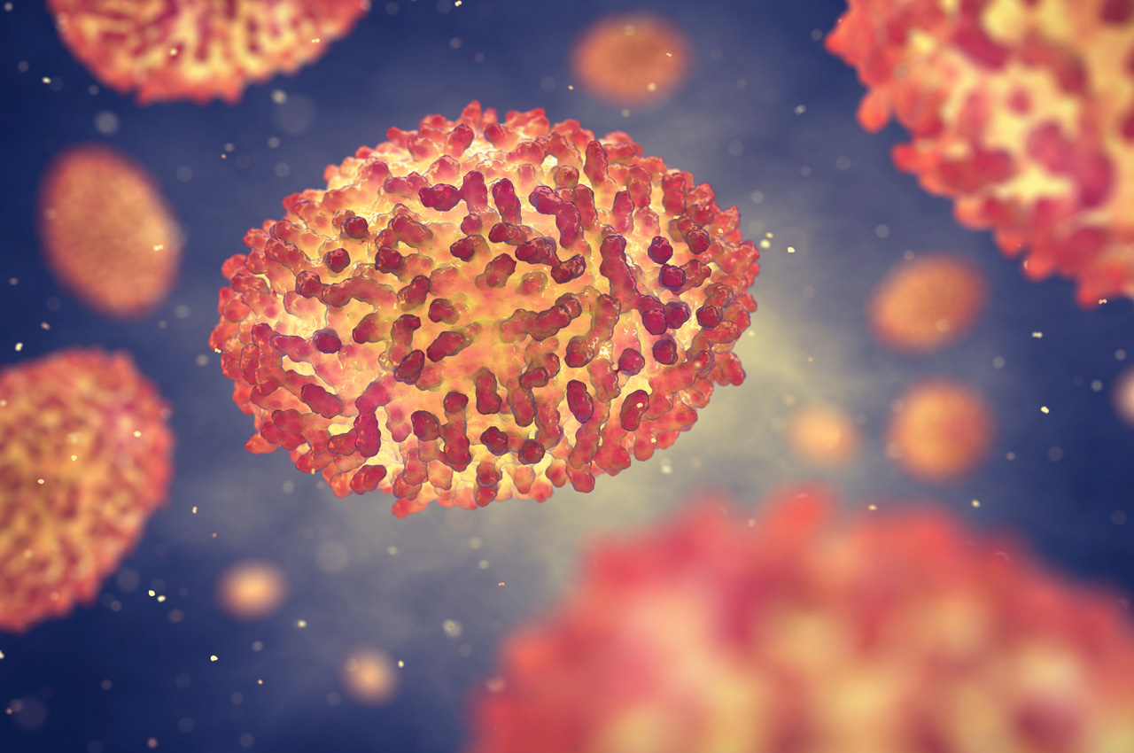 illustration du virus de la variole