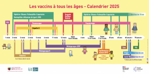 Les vaccins à tous les âges, pour comprendre