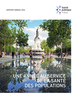 Rapport annuel 2016