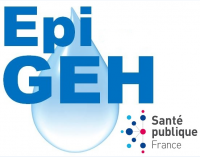 logo EpiGEH