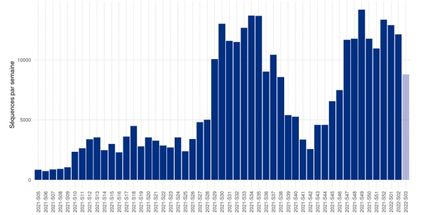 Activité réelle de séquençage du SARS-CoV-2 basée sur le nombre de prélèvements reçus, Consortium EMERGEN, France, semaines 2021-S05 à 2022-S03 (Source : données EMERGEN, Santé publique France)