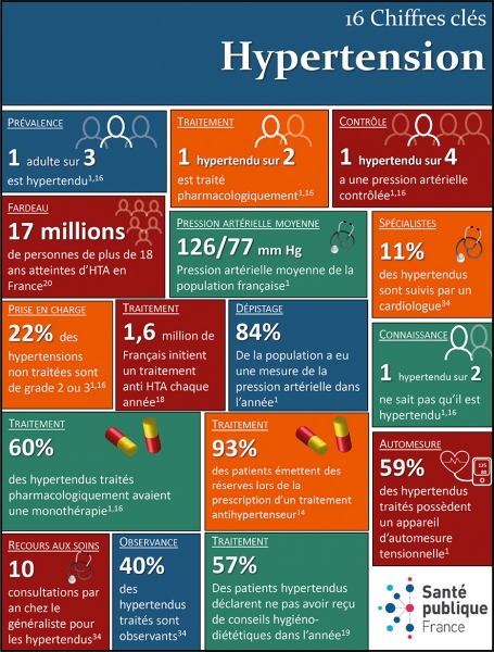 Infographie : les 16 chiffres clés de l'HTA en France